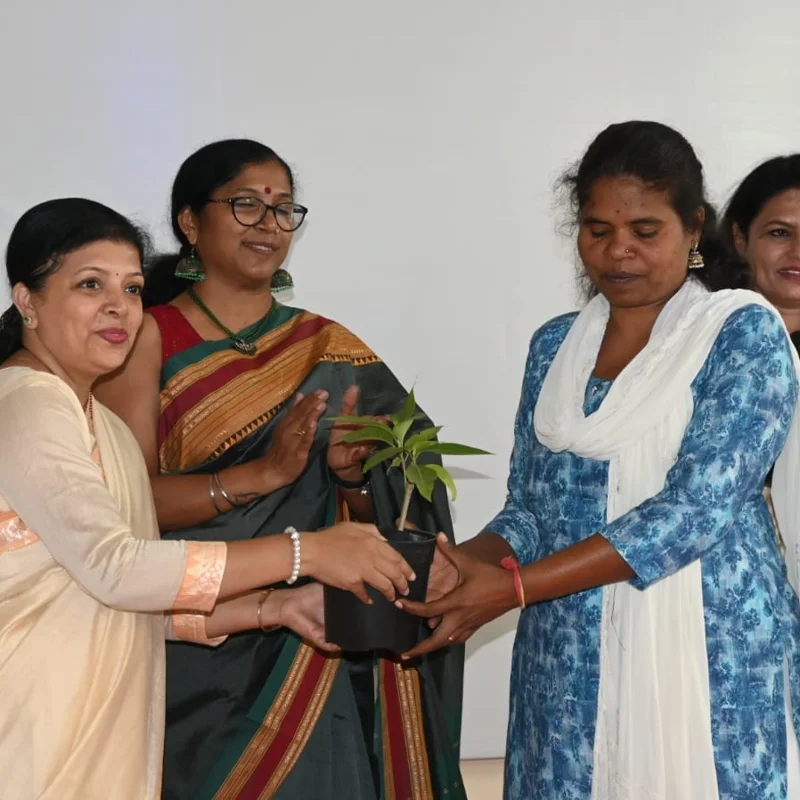 World Green Mission (Pics) And Video - Wgm19